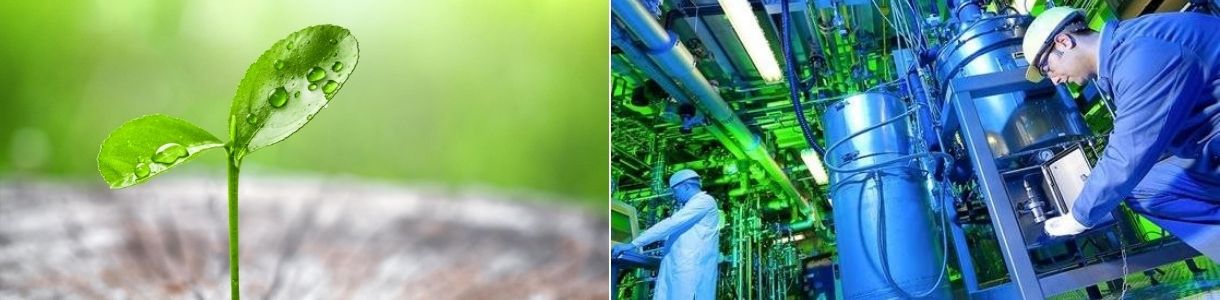 Analista de Meio Ambiente e Sustentabilidade - Instituto Brasileiro de ...