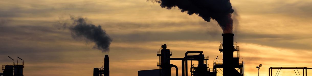 Expert em Licenciamento Ambiental - Curso online - INBS