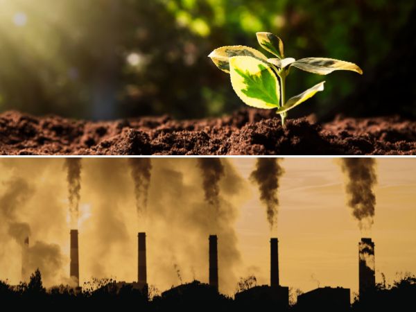 Combo Elaboração de Programas de Sustentabilidade + Elaboração de Inventários de Carbono, Gestão e Finanças Climáticas