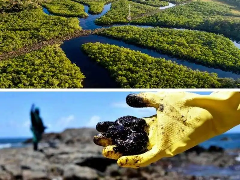 Perícia Ambiental e Licenciamento Ambiental