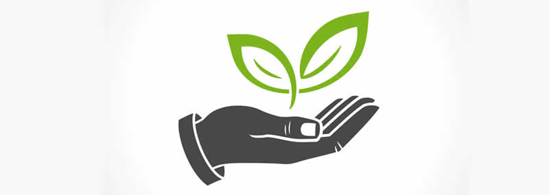 Sustentabilidade e colaboradores - Instituto Brasileiro de Sustentabilidade - INBS