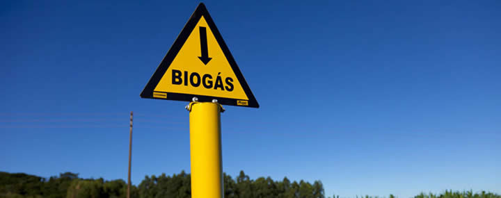 Biogás - Instituto Brasileiro de Sustentabilidade - INBS