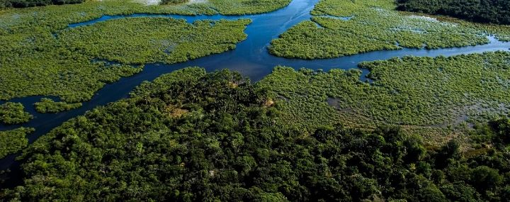 Questões sobre o Código Florestal - Instituto Brasileiro de Sustentabilidade - INBS