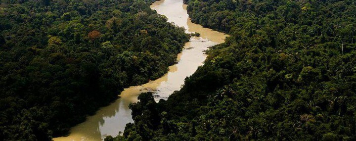 Preservar a floresta pode ser lucrativo - Instituto Brasileiro de Sustentabilidade - INBS