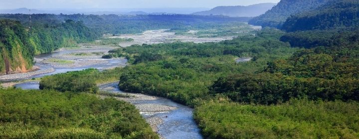 Amazônia e o desmatamento - Instituto Brasileiro de Sustentabilidade - INBS