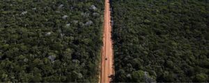 Rodovias e desmatamento
