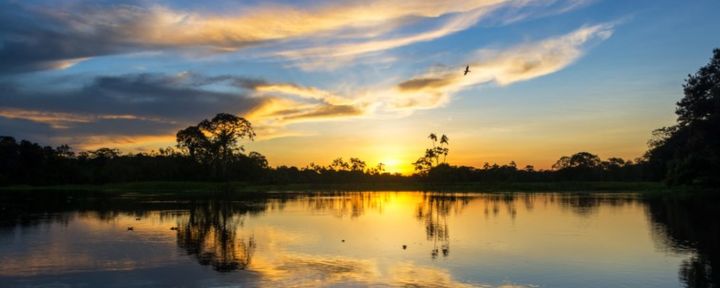 Gestão ambiental empresarial - INBS