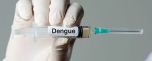 Dengue no Brasil - Fatores Climáticos